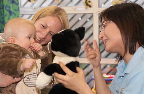 What our teachers say...